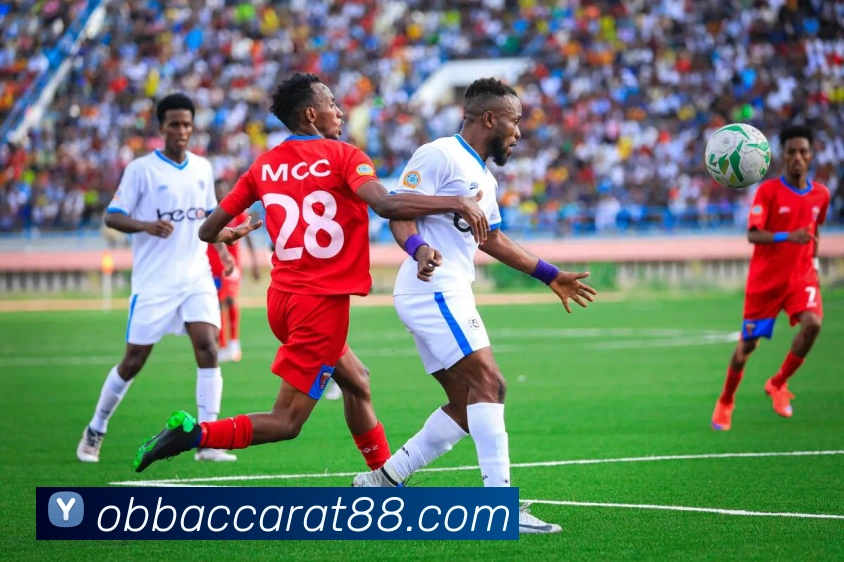 App Interface Preview